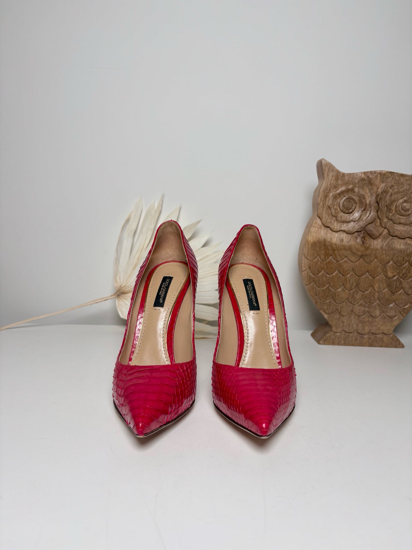 W Shoe Size 37.5 Dolce & Gabbana Red Leather Snake Skin Heels
