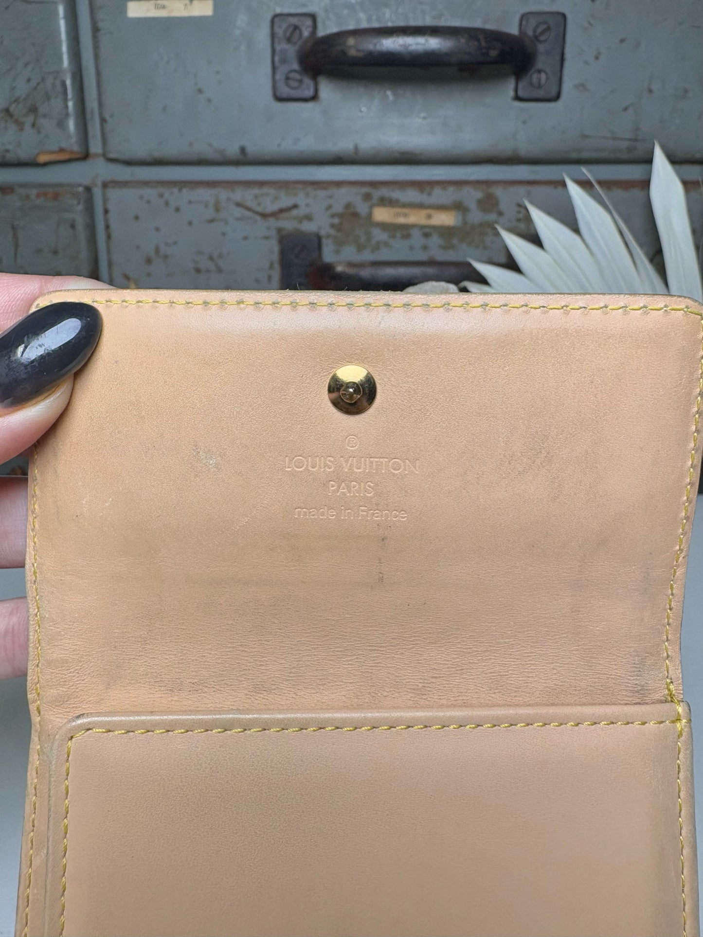 Coated Canvas Louis Vuitton Multi-Color Wallet