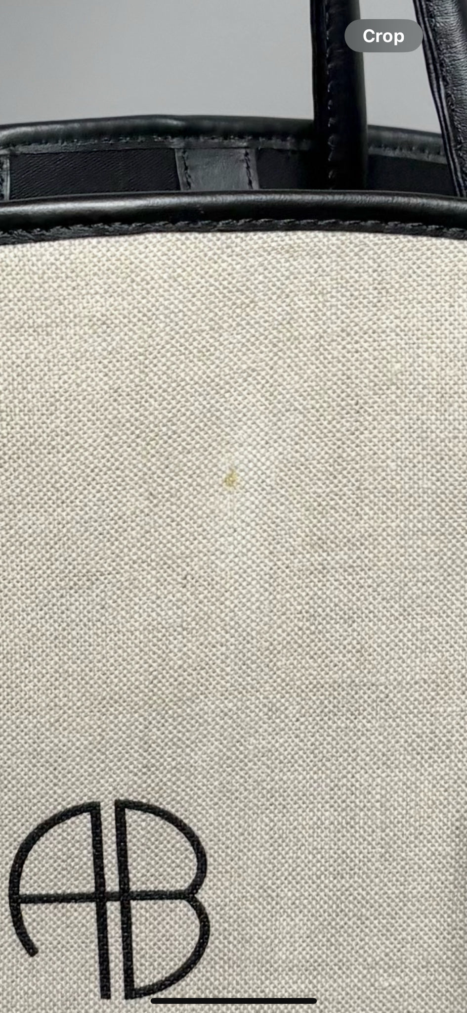 Anine Bing Logo Cotton Khaki Leather Trim Logo Taylin Tote