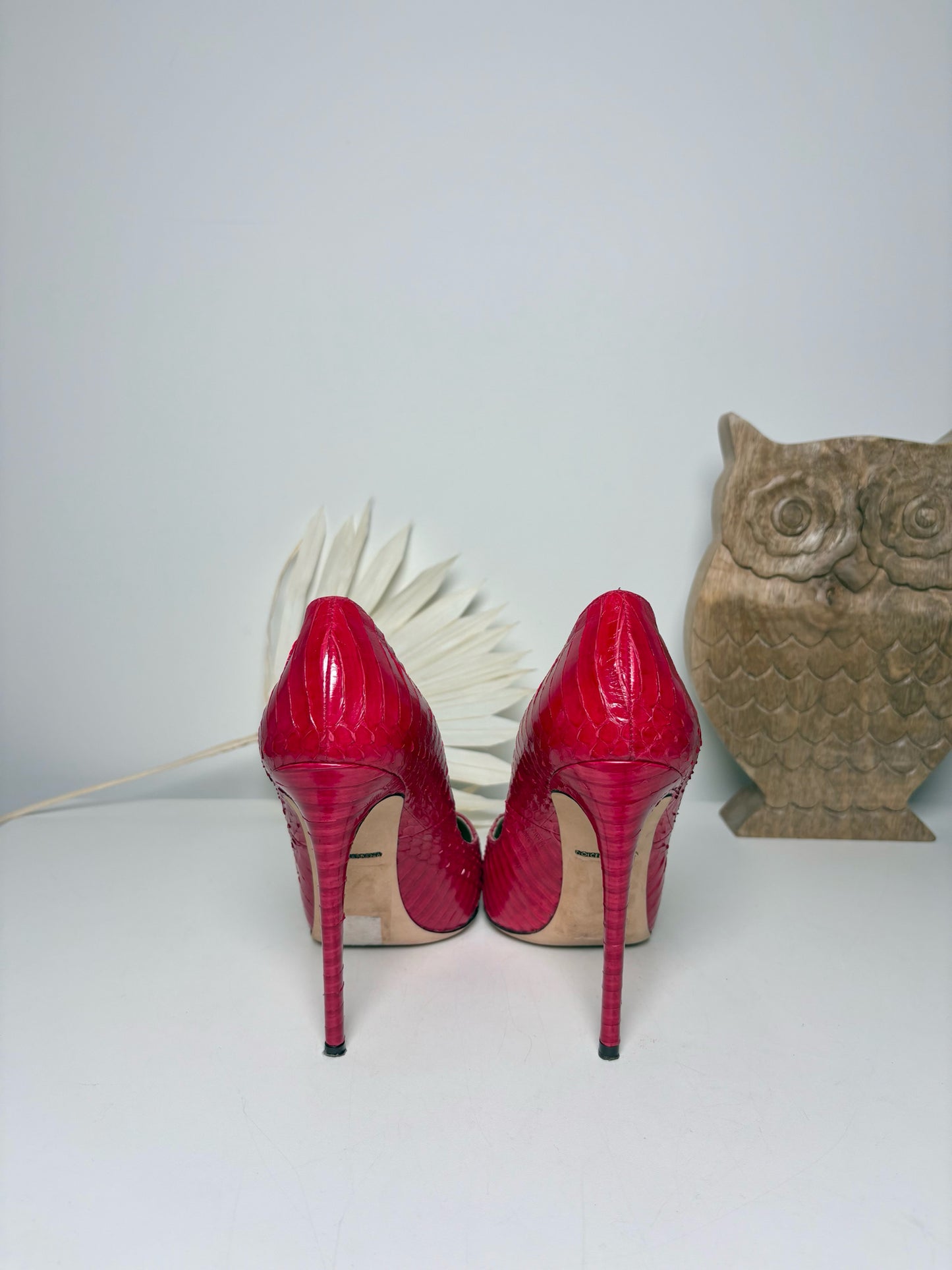 W Shoe Size 37.5 Dolce & Gabbana Red Leather Snake Skin Heels