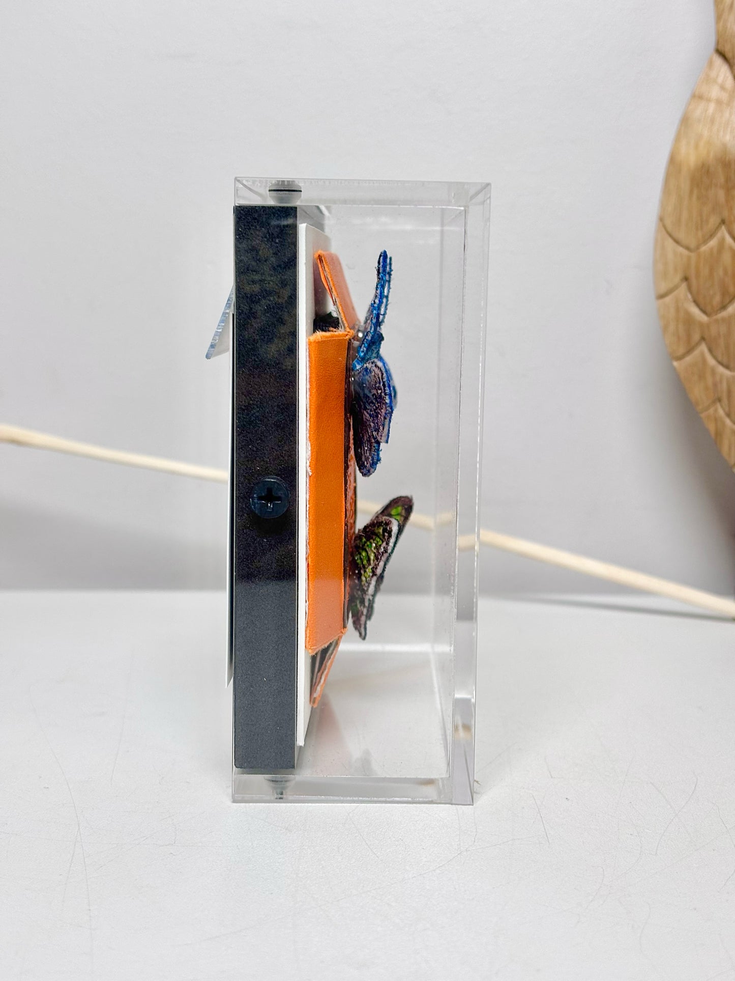 Stephen Wilson Frame Hermes Butterflies Acrylic Shadow Box