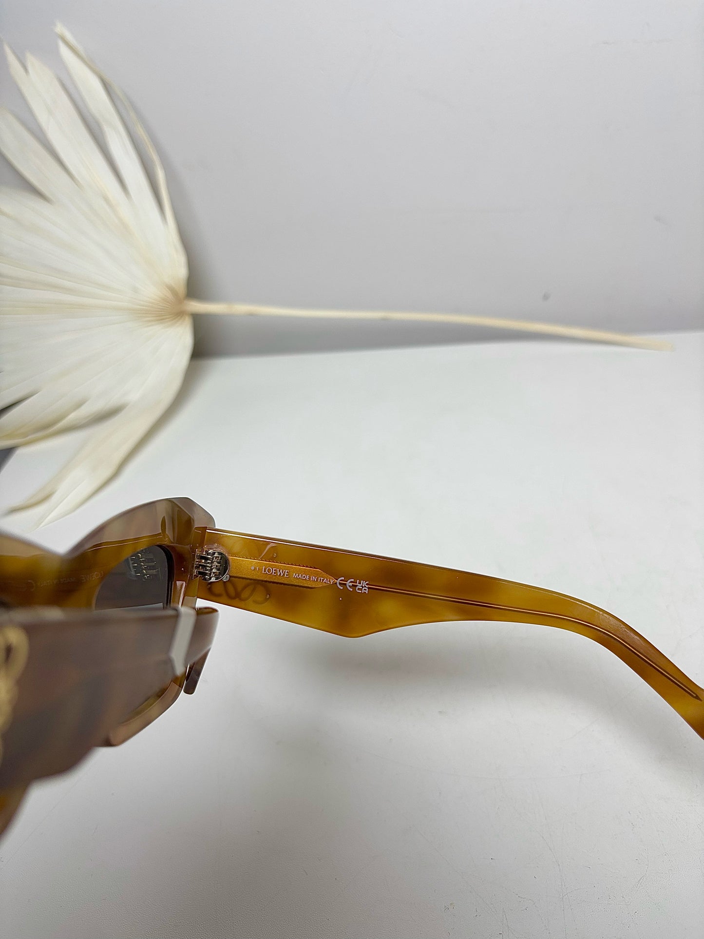 Loewe Caramel Tortoise Shell Sunglasses