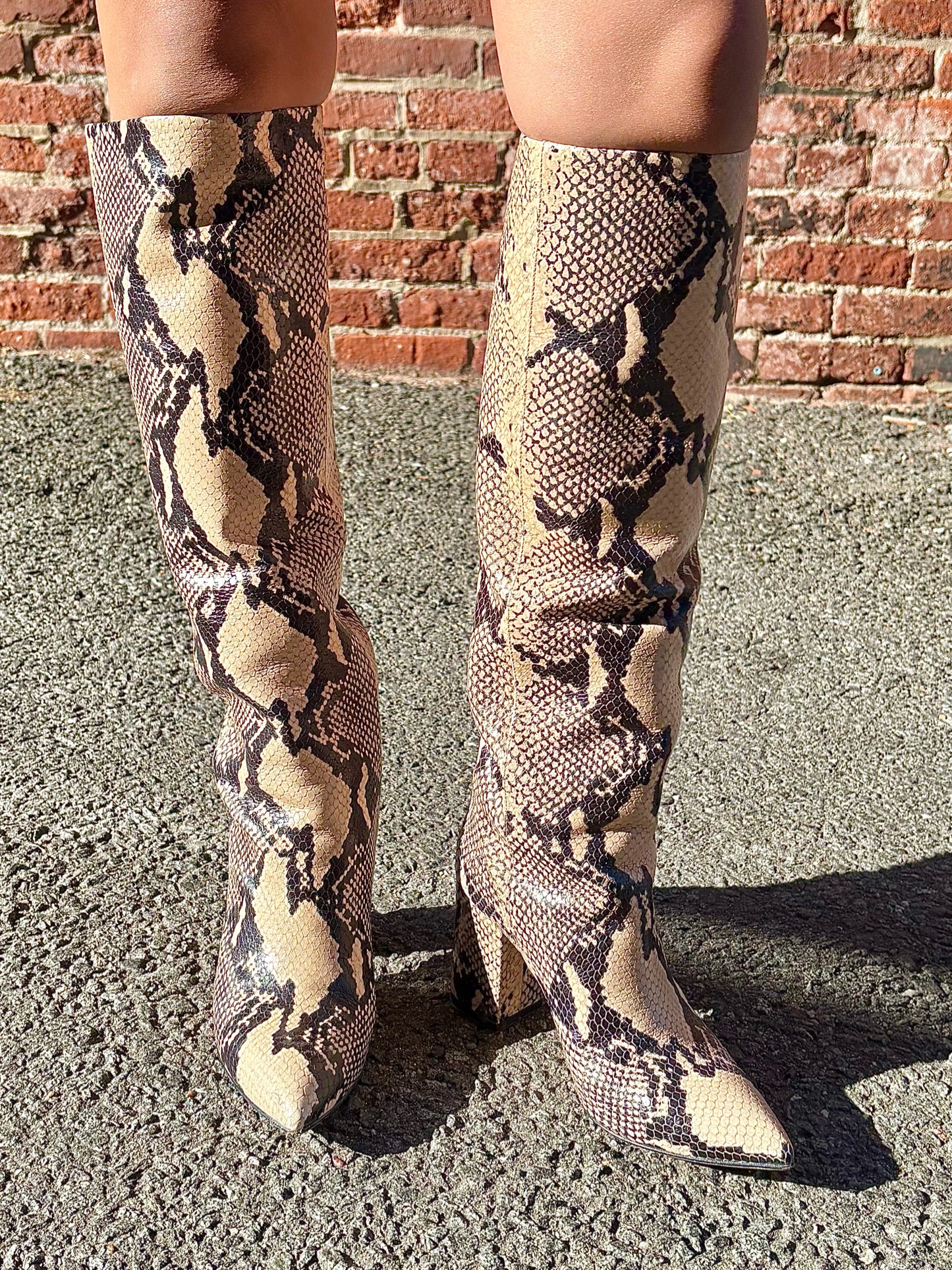 W Shoe Size 36 Paris Texas Animal Print Leather Snake Skin Pre-owned Boots