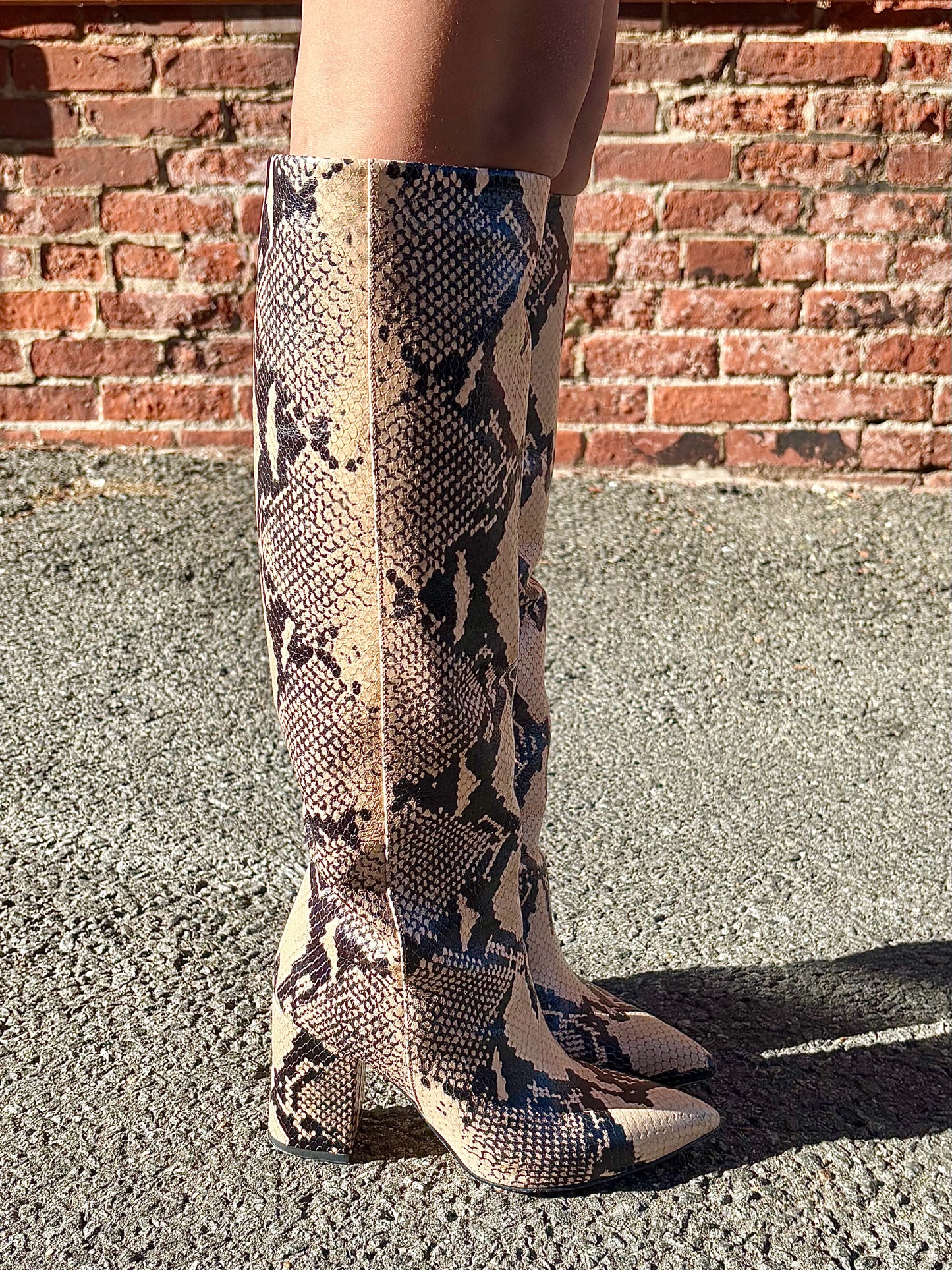 W Shoe Size 36 Paris Texas Animal Print Leather Snake Skin Pre-owned Boots