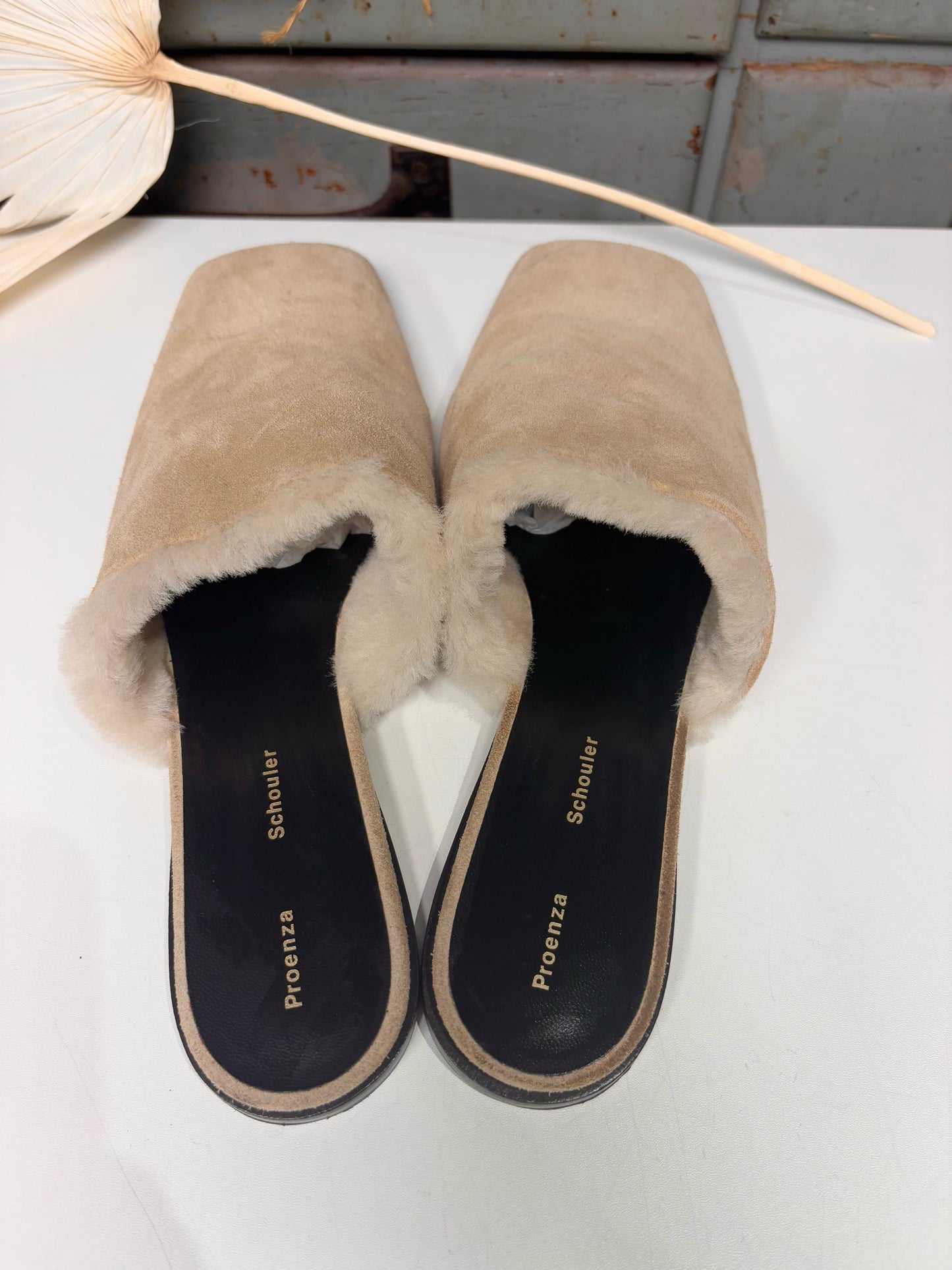 W Shoe Size 39.5 Proenza Schouler Tan Suede Slip-ons