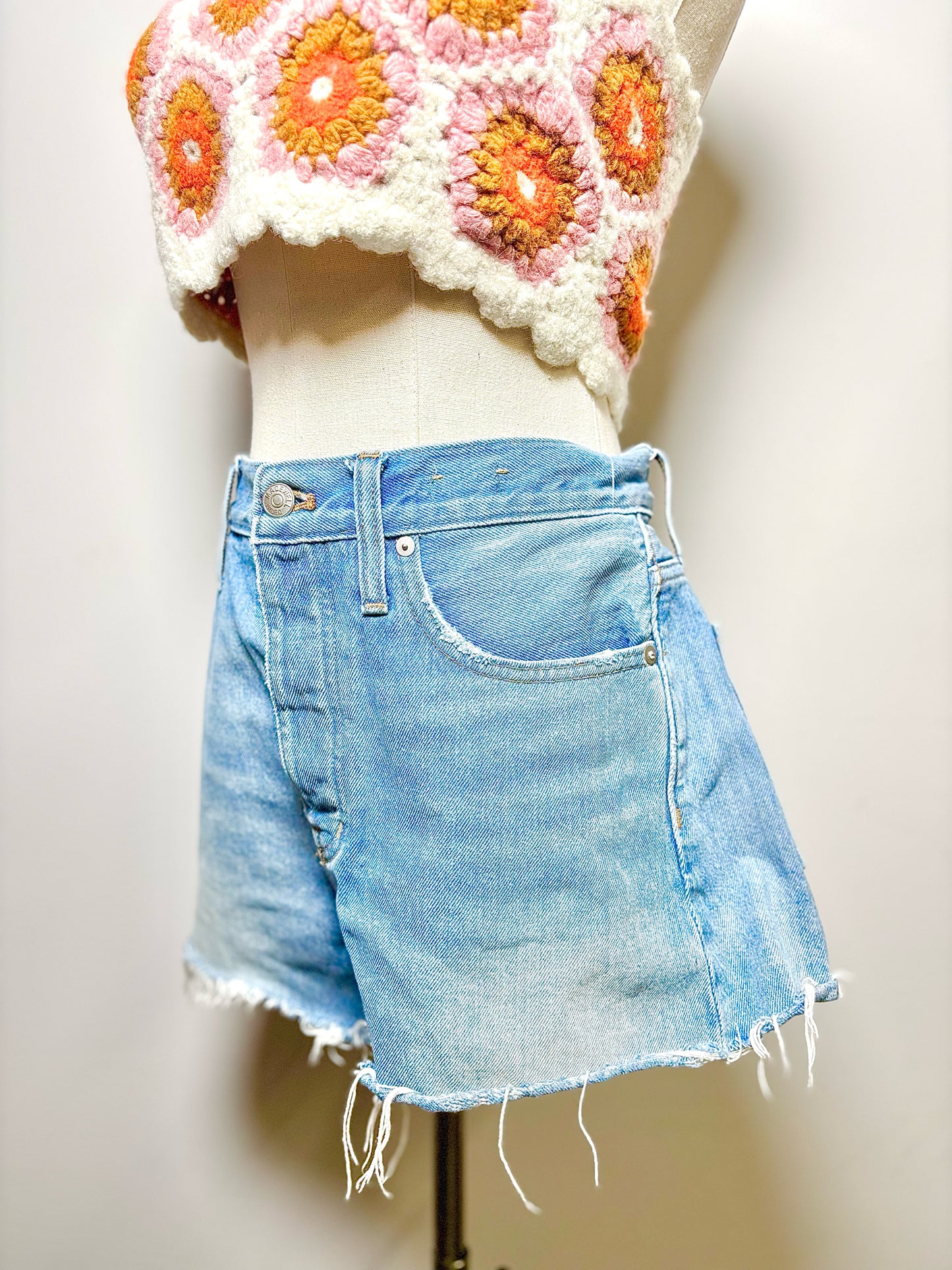 Women Size 27 (4) Madewell Light Blue Solid Shorts