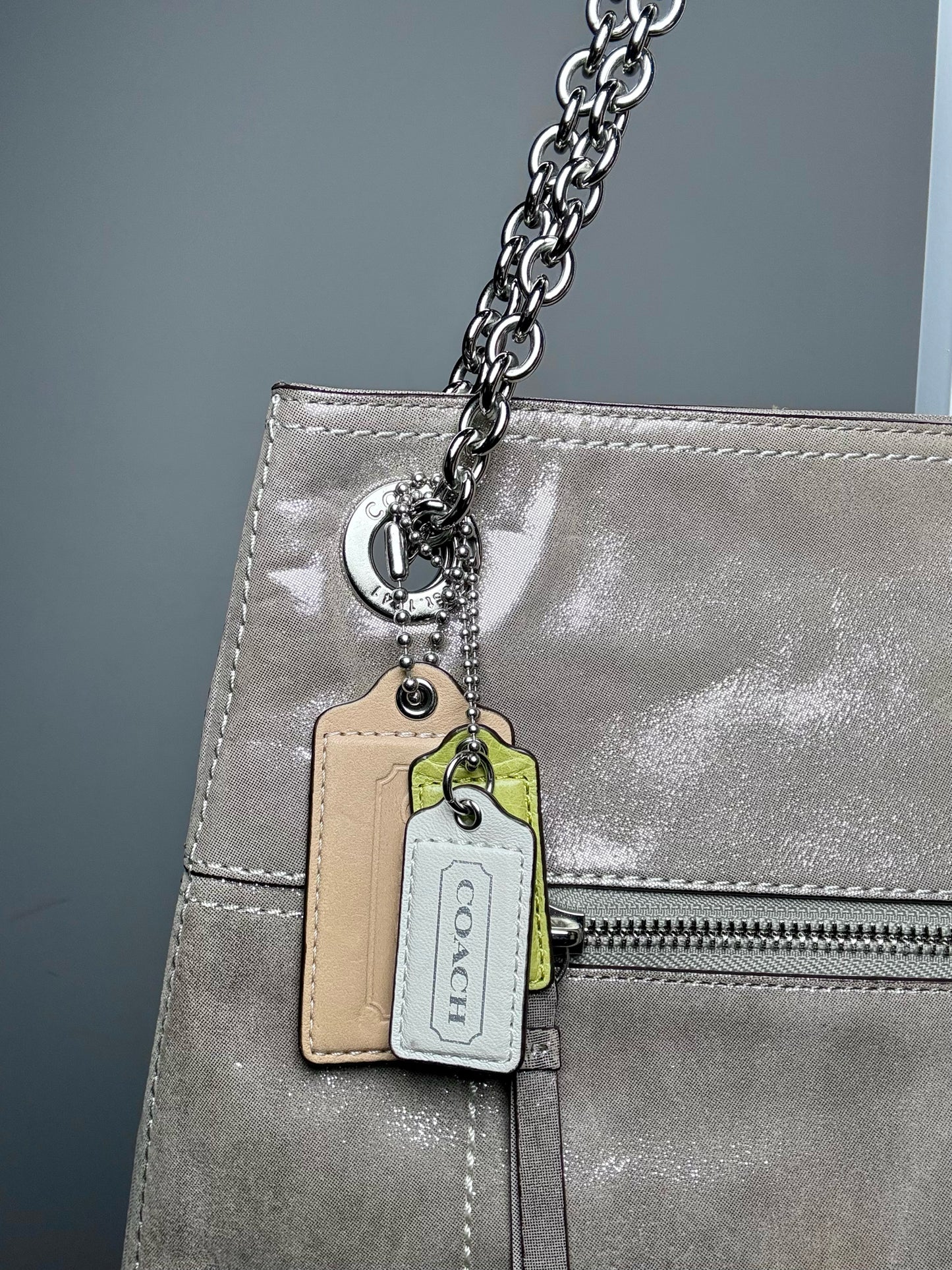 Coach #21199 Metallic Leather Pre-owned Taupe Cowhide Purse