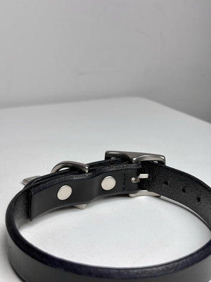 Misc. Accessory Coach Black Cowhide Leather Dog Collar & Leash