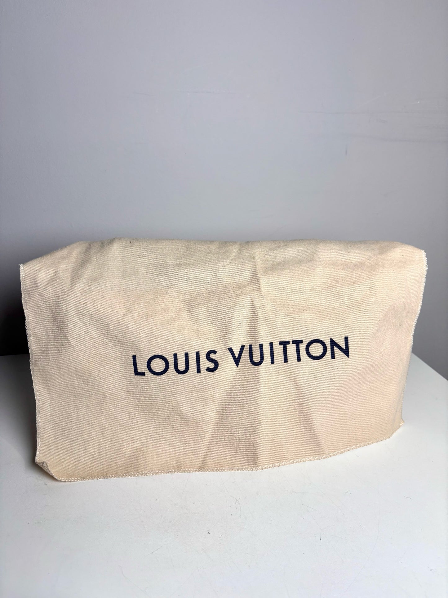 Coated Canvas Louis Vuitton Damier Ebene Brown Purse
