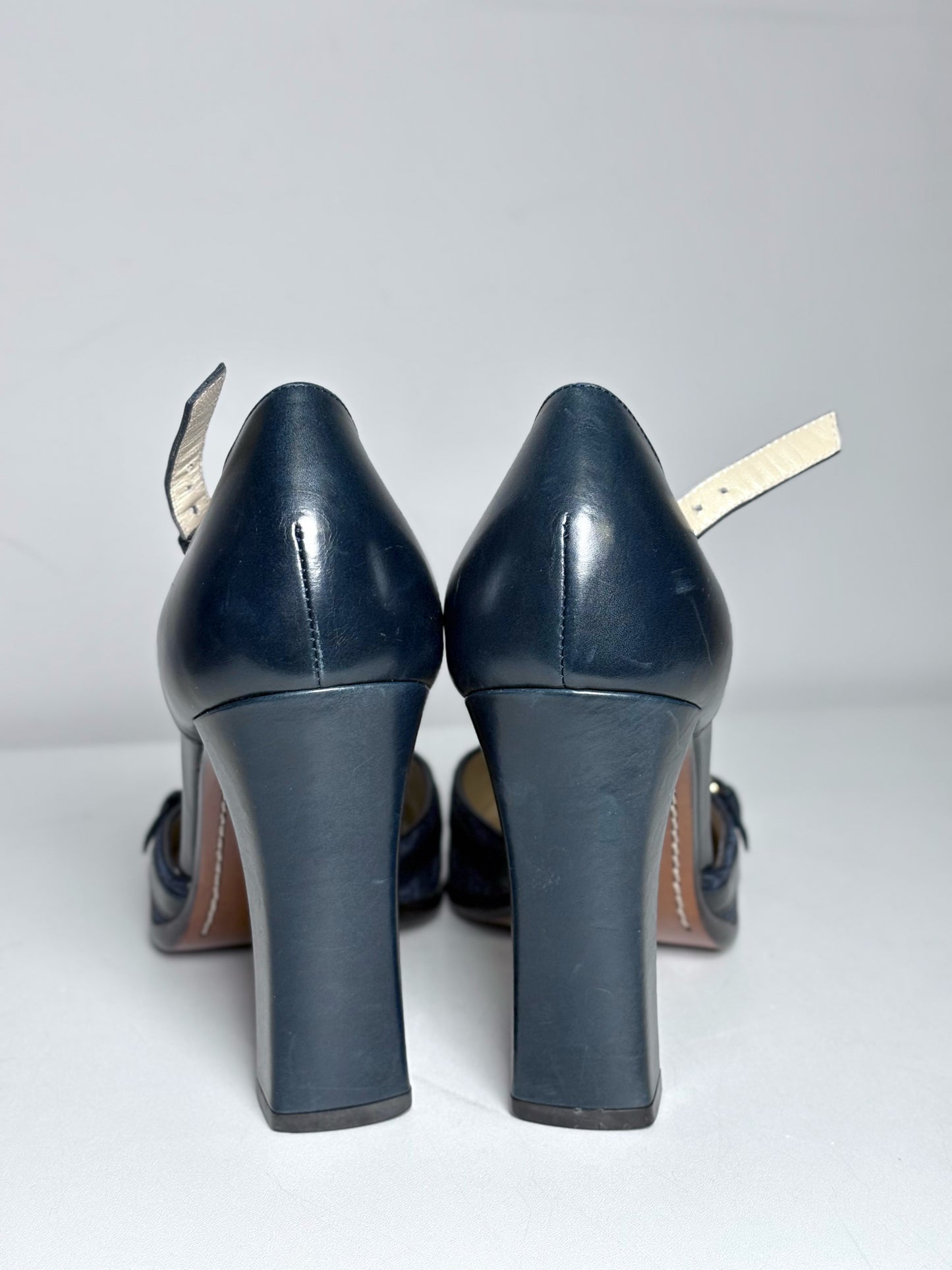 Louis Vuitton Josephine Blue Canvas, Leather Pre-owned Heels