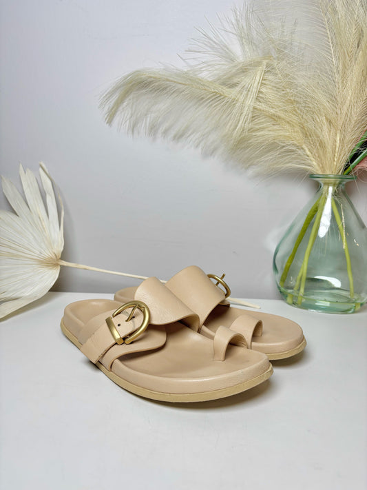 W Shoe Size 7 Marion Parke Bone Leather Cowhide Slip-on Sandals