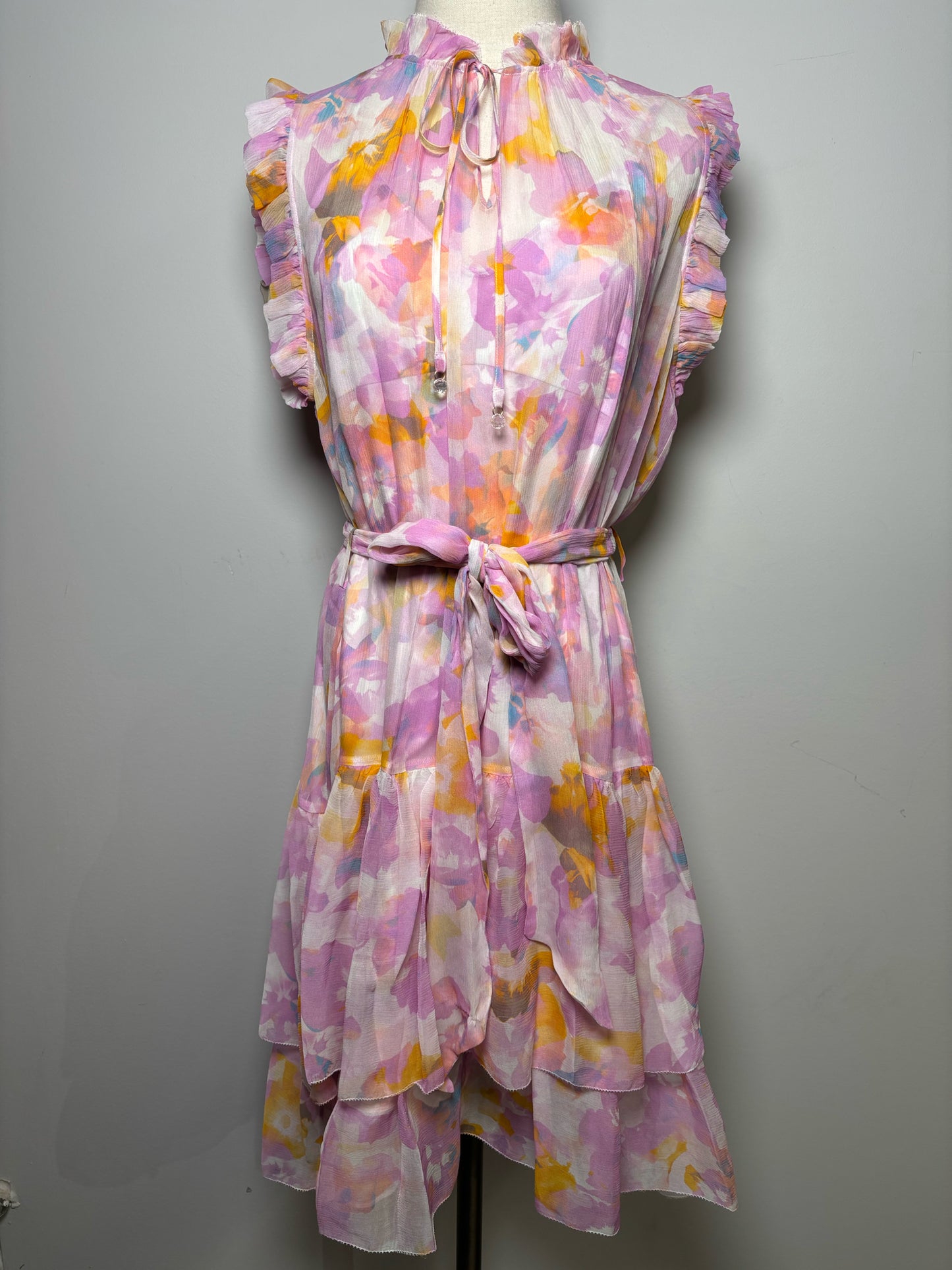 Women Size M Christy Lynn Multi-Color Print Silk NWT Dress