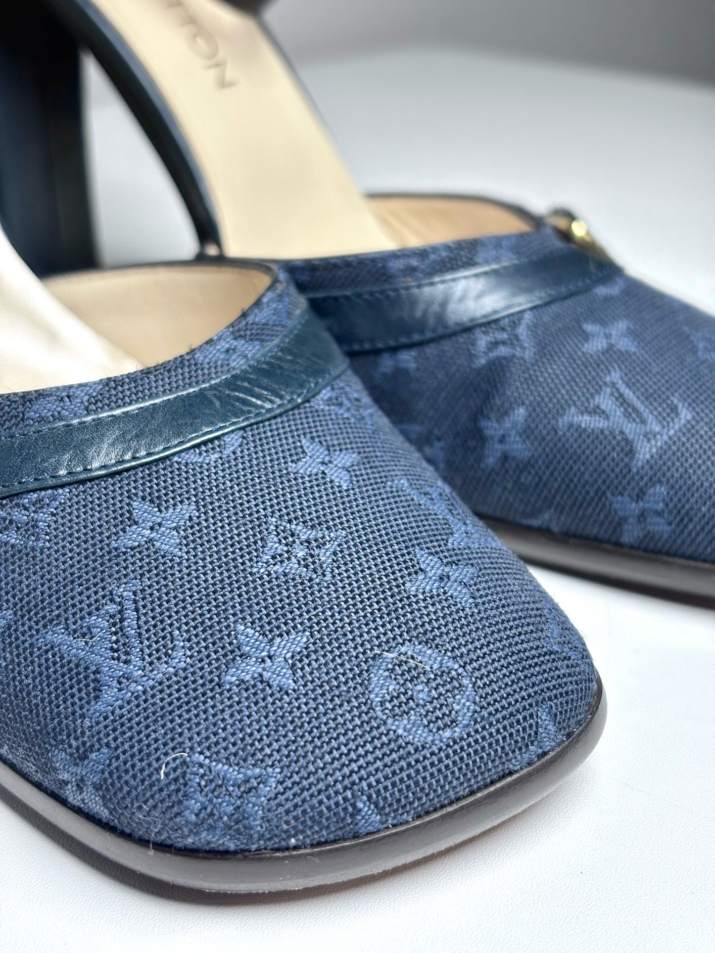 Louis Vuitton Josephine Blue Canvas, Leather Pre-owned Heels