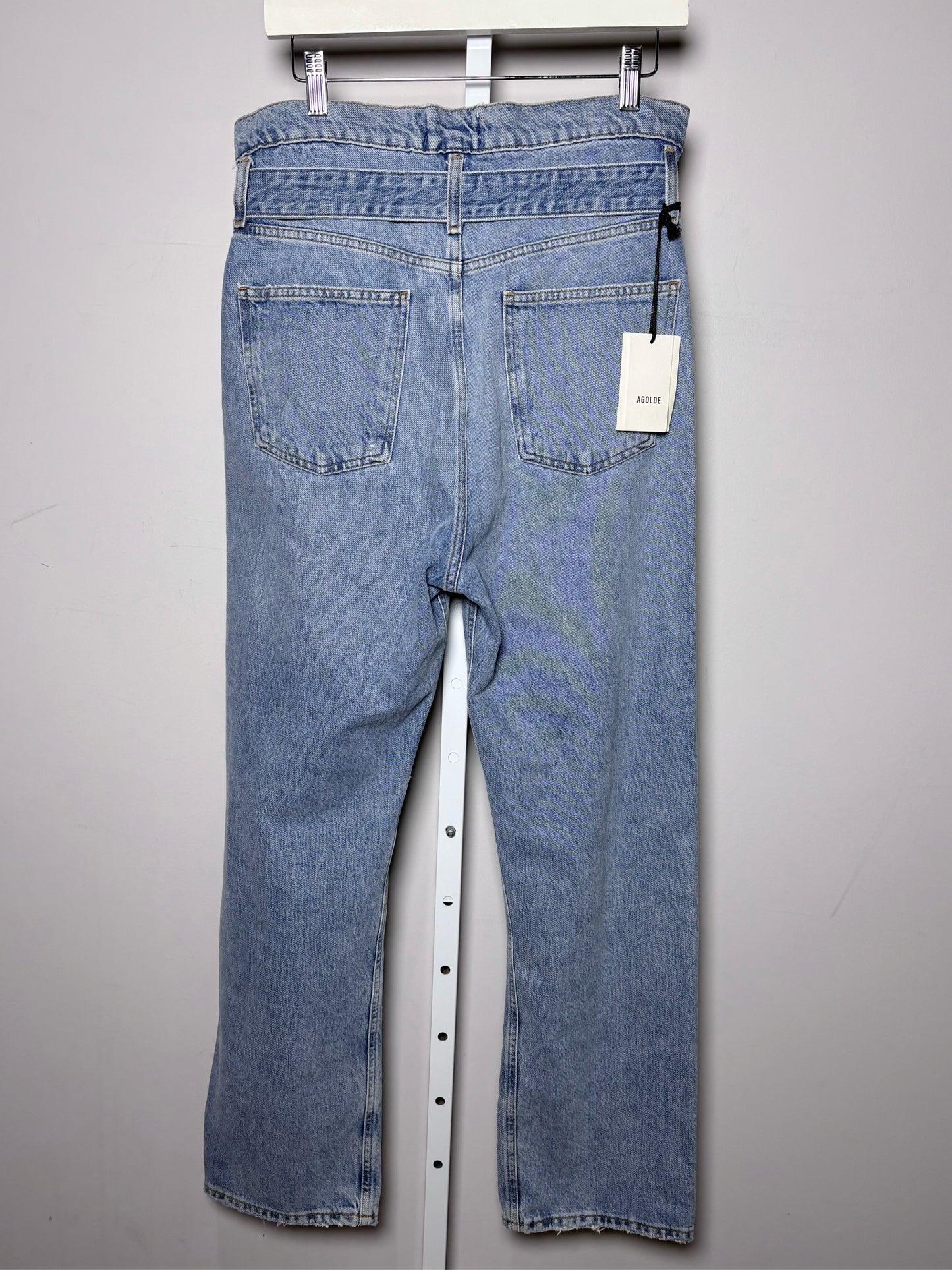 Women Size 26 AGOLDE Blue Denim Organic Cotton NWT, Pre-owned Jeans