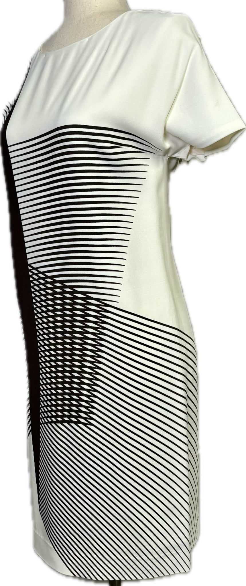 Carolina Herrera Geometric Dress