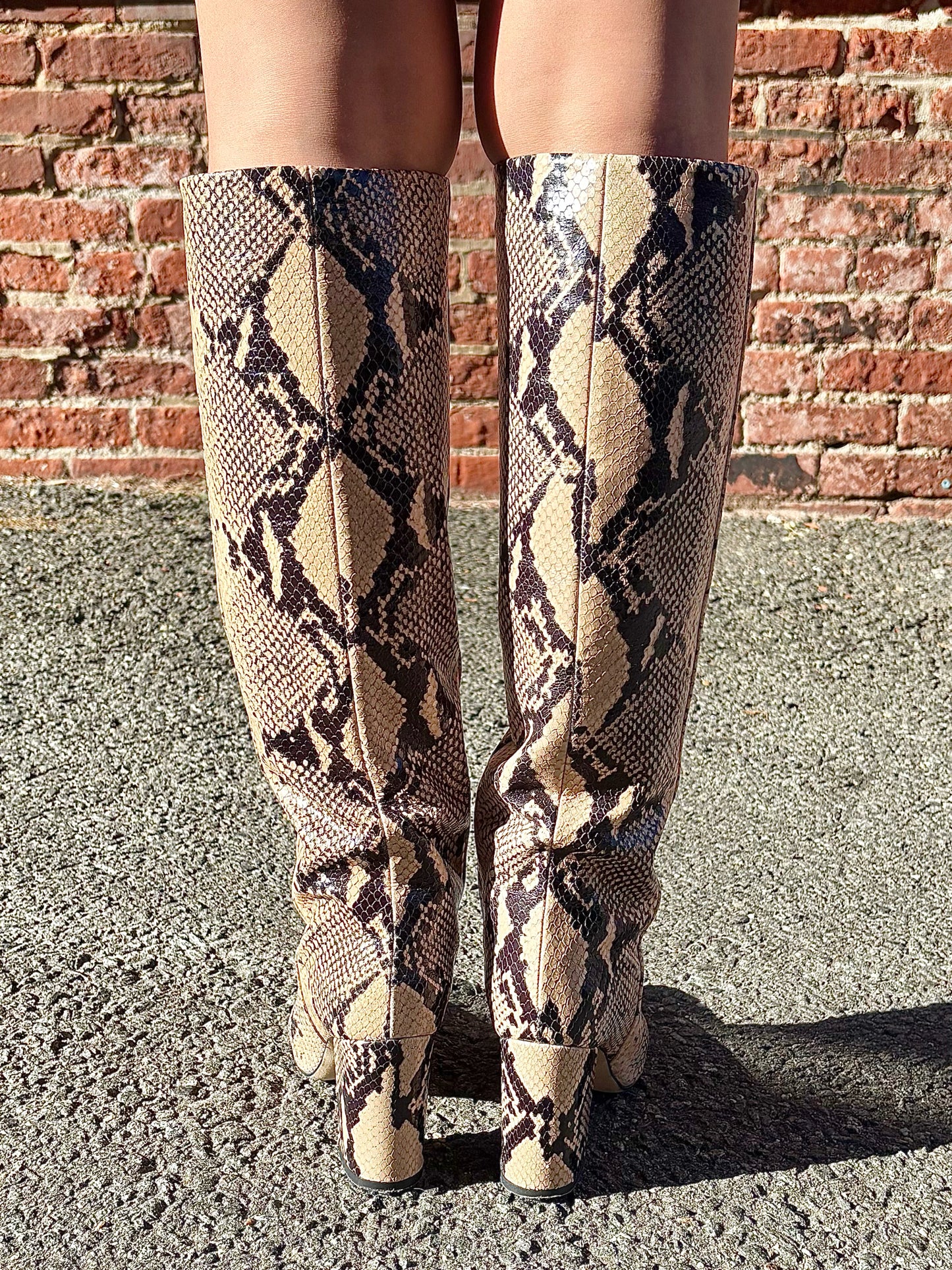 W Shoe Size 36 Paris Texas Animal Print Leather Snake Skin Pre-owned Boots