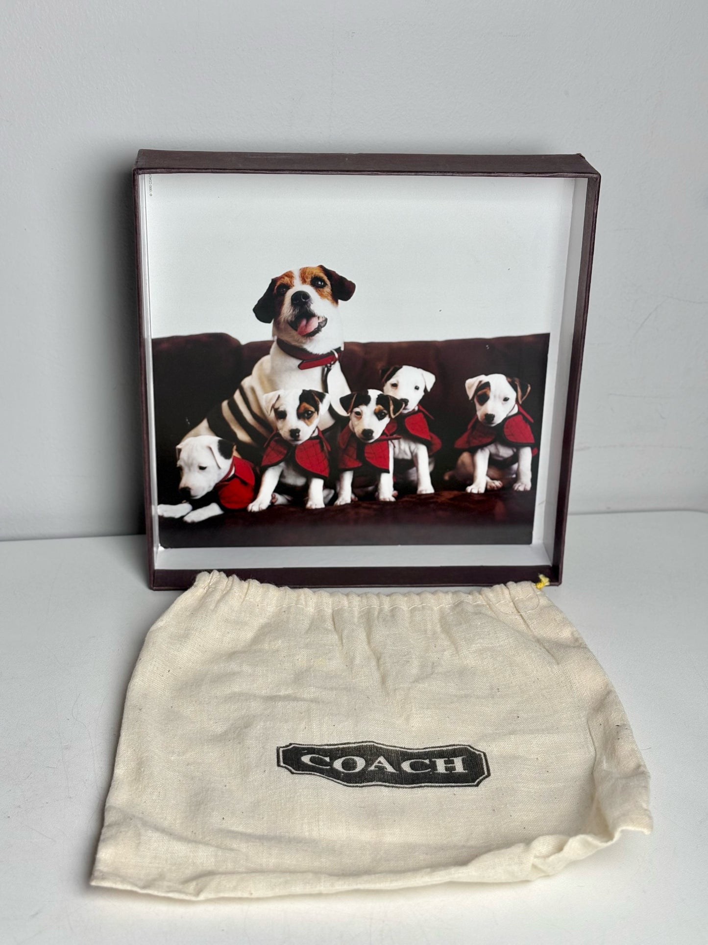 Misc. Accessory Coach Black Cowhide Leather Dog Collar & Leash