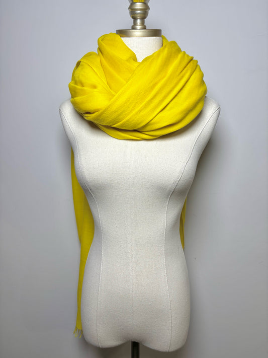 Hermes Cashmere Scarf
