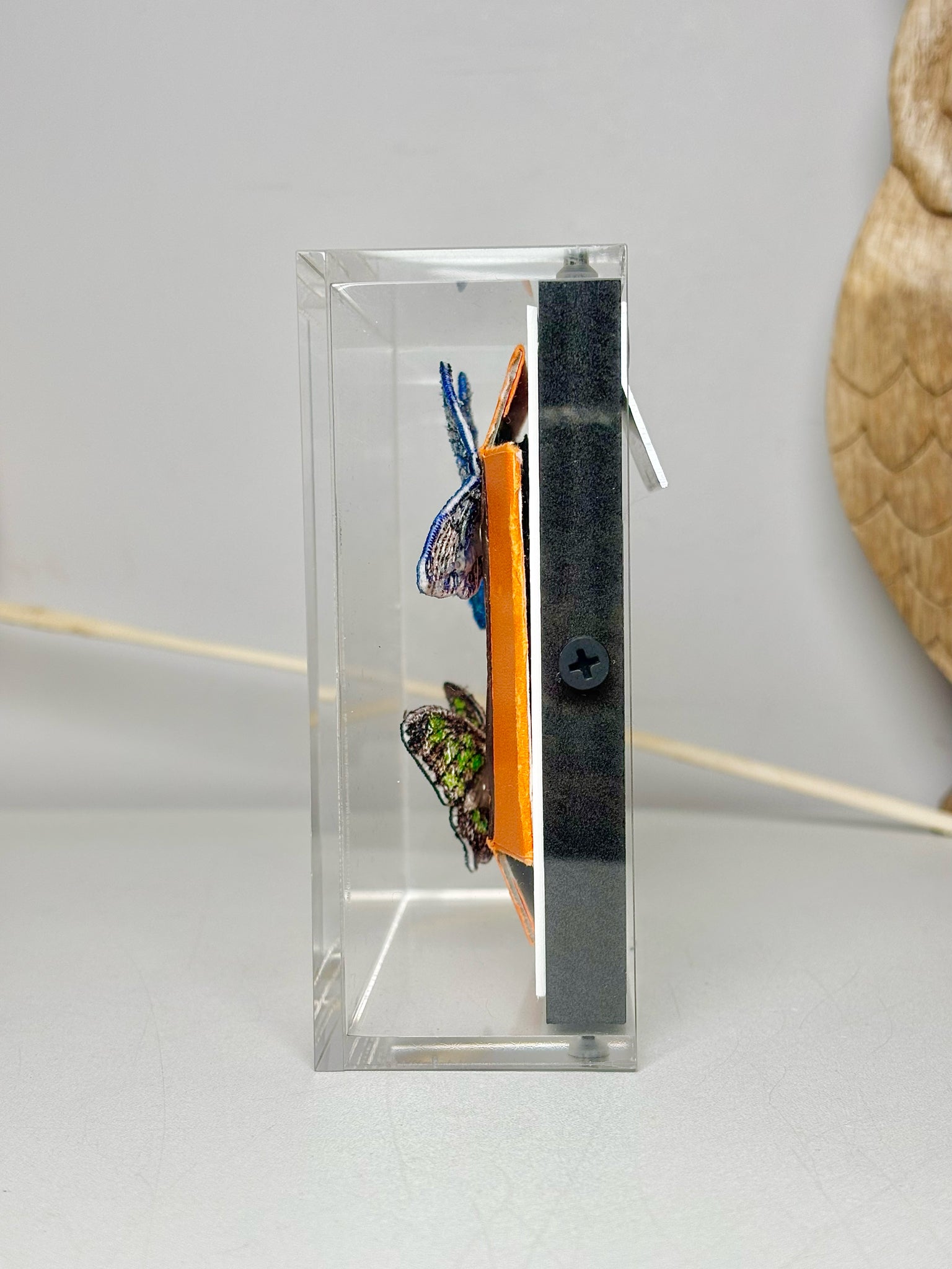 Stephen Wilson Frame Hermes Butterflies Acrylic Shadow Box – VIDA