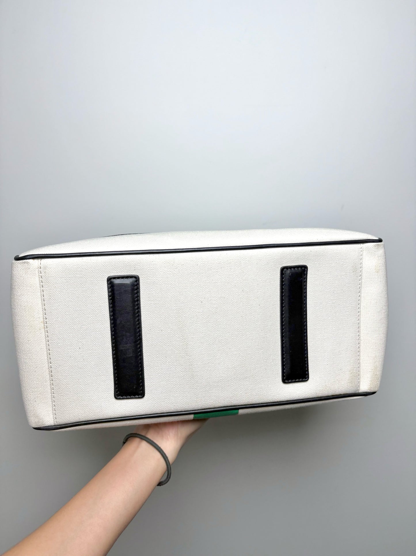 Tibi x Myriam Schaefer Colorblock Leather, Canvas Natural, Blue, Green Purse