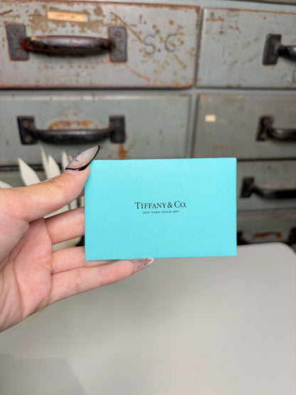 Passport Holder Black/Turquoise Combo Leather