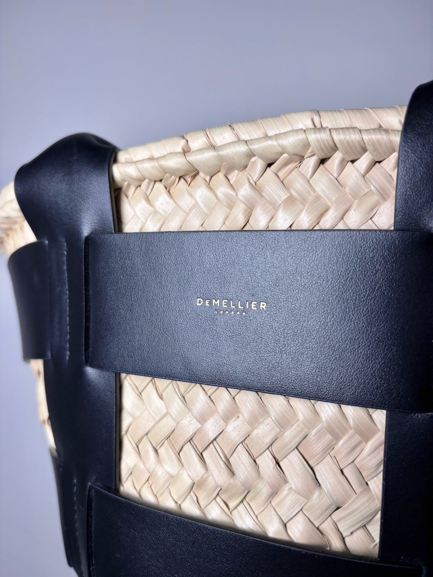 Women's DeMellier Mini Caged Leather, Woven Straw/Raffia Basket Purse
