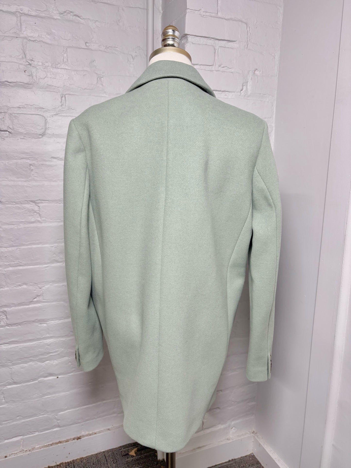 Women Size 6 & Other Stories Pistachio NWT Blazer