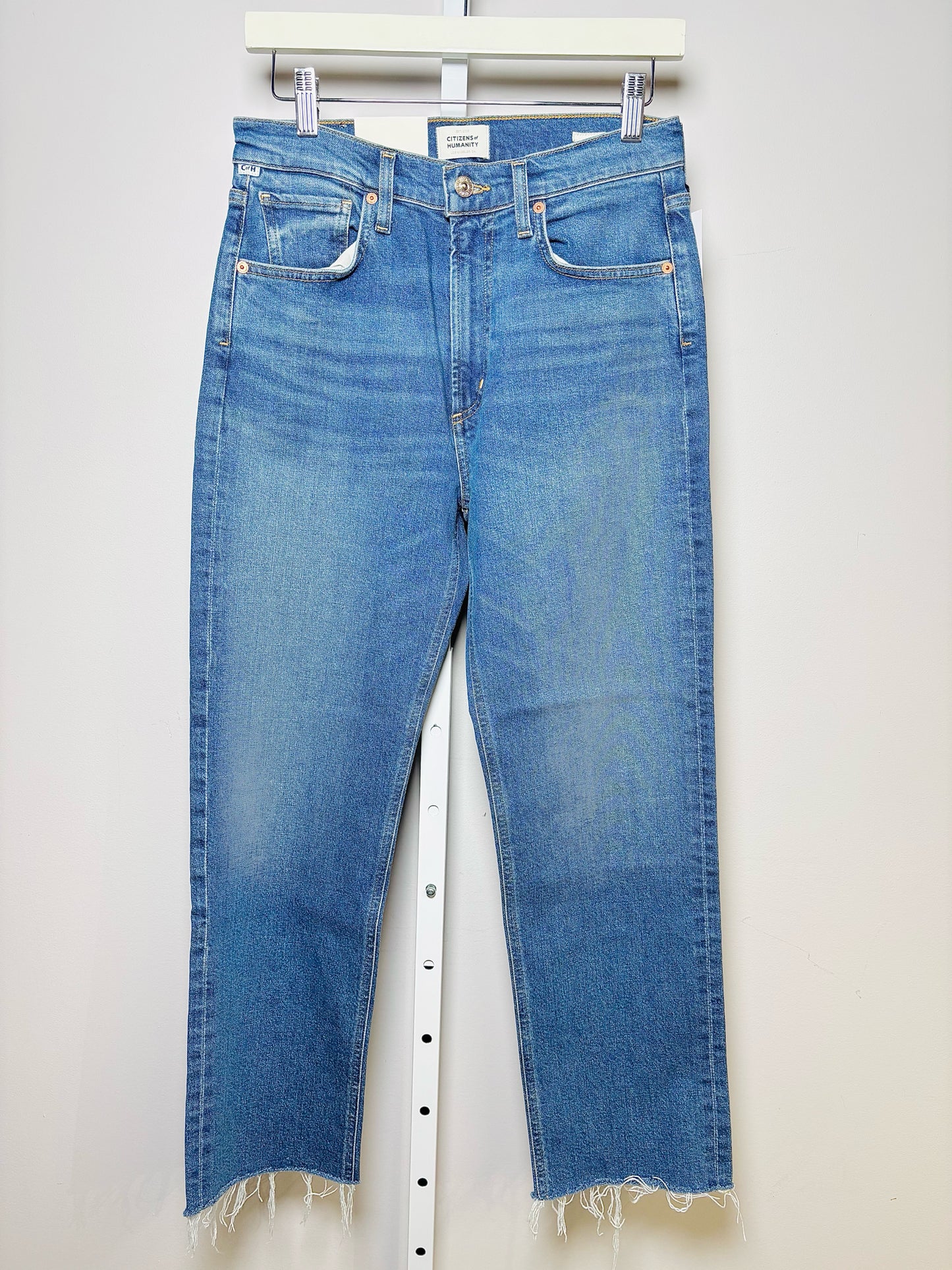 Women Size 27 Citizens of Humanity Blue Shorts