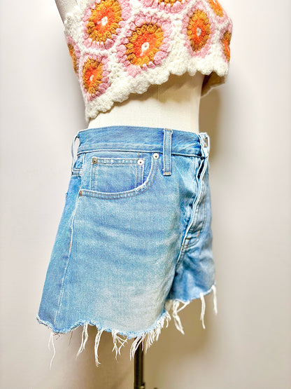 Women Size 27 (4) Madewell Light Blue Solid Shorts